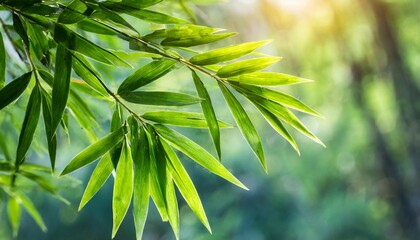 Wall Mural - Green bamboo leaves