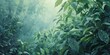 Oil Painting, Misty forest background, lush green, dew on leaves, close-up, low camera angle, soft morning light