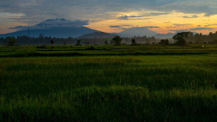 Wall Mural - Morning landscape with mountain and hills in the background and wide wide field in foreground