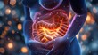 Anatomy of human body with digestive system. 3d illustration	