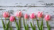 Glorious springtime pink tulips on white rustic wooden boards for Mothers Day or Easter holiday