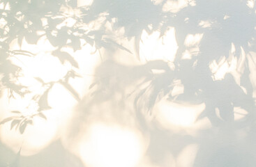 Aufkleber - Leaf shadow and light on wall beige background. Nature tropical gray leaves plant and tree branch shade with sunlight on wall texture for background wallpaper and design, shadow overlay effect