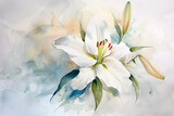 Fototapeta Kwiaty - Watercolor painting of lily on colorful background 