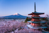 Fototapeta Kosmos - 夜明けの新倉山浅間公園から忠霊塔の桜と富士山