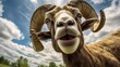 Close-up portrait of a ram. Detailed image of the muzzle. A domestic animal is looking at something. Illustration with distorted fisheye effect. Design for cover, card, postcard, decor or print.