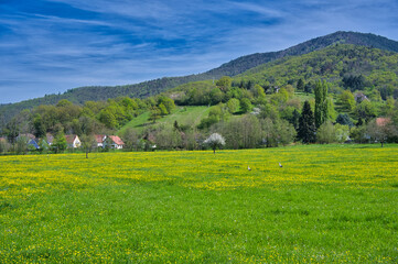 Wall Mural - Landschaft bei Gunsbach sur Munster in den Vogesen