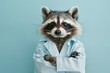 A raccoon with a clever gaze, wearing a light blue doctor's coat and stethoscope, against a teal background.