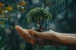 Raindrops are tiny fall over a fuzzy, dark backdrop of nature while an individuals holds a delicate green plant in their palm and space, Generative AI.