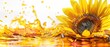 Close shot of splashing sunflower oil with sunflower seeds on a clean white backdrop with a big space for text or product, Generative AI.