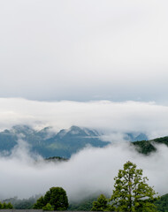 Canvas Print - Landscape of mountain covered fog