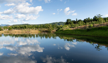 Canvas Print - Landscape of the beautiful pond