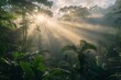 © Multiverse - The suns rays penetrate the dense jungle canopy, illuminating the trees with a warm glow