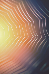 Wall Mural - spider web