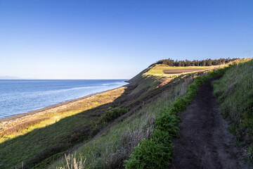 Wall Mural - view from the beach