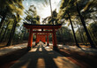 Torii gates symbolize the boundary between the physical and spiritual worlds.