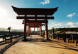 Each torii gate holds significance in the context of its shrine.