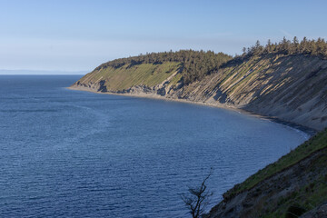 Wall Mural - view from the coast