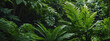 Close-up shot of lush green foliage, providing a soothing and organic background texture.
