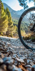 Canvas Print - Bicycle wheel on gravel path, close up, adventure, high altitudes 