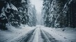 Picture a serene and moody winter scene: an empty forest road winding through a landscape blanketed in fresh snow. The trees, heavy with snow, stand like silent sentinels