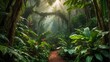 sunbeams shining in tropical forest area with trees and plants