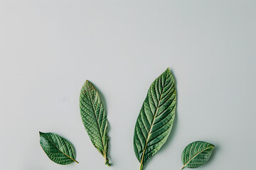 Wall Mural - Bunny rabbit ears made of natural green leaves on bright background. Easter minimal concept. Flat lay.