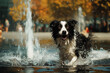 a dog running in a water fountain with his head out