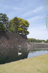 Wall Mural - 日本、東京の皇居のお堀の風景