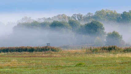 Beautiful green countryside on a misty day