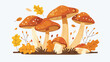 The taste of autumn a simple illustration of mushroom