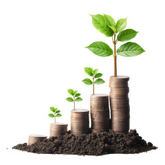 Wall Mural - investment concept, coins graph with green plant on white background.