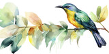 Fototapeta Do akwarium - Watercolor Drawing Of A Colorful Bird Perched On A Branch