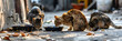 Stray Cats Feeding on a Sunlit Dirty Street. Concept Animal Rescue, Community Support, Stray Animals, Urban Environment, Compassion