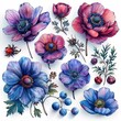 This watercolor illustration set includes illustrations of berries, buds, and flowers on a white background. Pink anemones, berries, and buds on a blue background