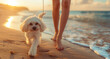 Portrait of cute white dog walking with female owner on sandy beach during summer holiday. Generative AI