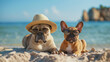 Portrait of two cute dogs with sunglasses and straw hat, lying on sandy beach with sea in background, enjoying summer holiday. Generative AI