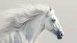 A beautiful white horse with a long flowing mane is shown in profile.