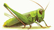 Grasshopper Clipart 2d flat cartoon vactor illustration