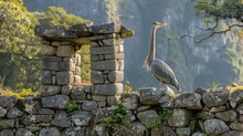   A Large Bird Perches Atop A Stone Wall, Beside Another Stone Wall A Tree Stands In The Backdrop