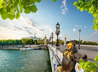 Wall Mural - Bridge Alexandre in Paris