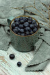 Blueberries in a large mug surrounded by tree branches with swollen buds. Spring still life. Berries in spring.