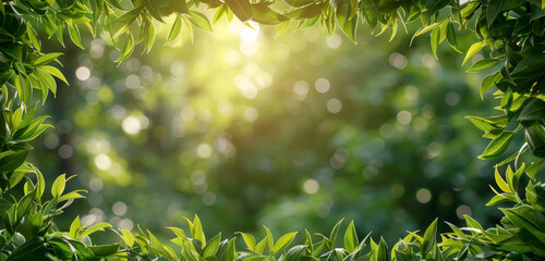 Poster - Bamboo leaves backlit by bright sunlight, creating a serene green glow.