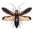 Isolated  Insect on a Clear PNG Canvas, Generative AI