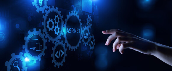 Asp.net web-application software development platform. Programming language.