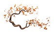 A surreal style tree with golden leaves floating in mid-air. twisted trunk Isolated on transparent background.