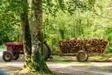 Fototapeta Do pokoju - Pile of wood wooden logs on wagon in forest