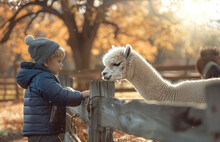 Photo Of A Child In A Blue Jacket Feeding An Alpaca Behind A Fence At A Farm