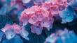A close up of a bunch of pink and blue flowers