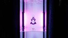 Anime Figure Maid Girl Inside The Glass Cabinet With Pink Backlight
