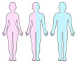 Male, female and half man half woman body outline